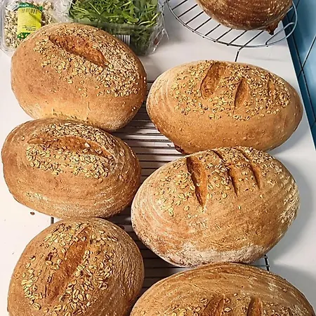 Helene S Mini Pivovarem 招待所 Kytlice