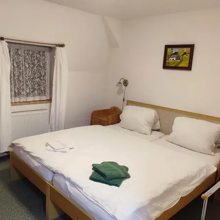 Helene S Mini Pivovarem 3* Kytlice